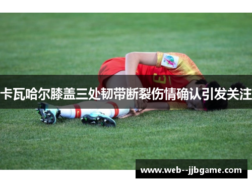 卡瓦哈尔膝盖三处韧带断裂伤情确认引发关注